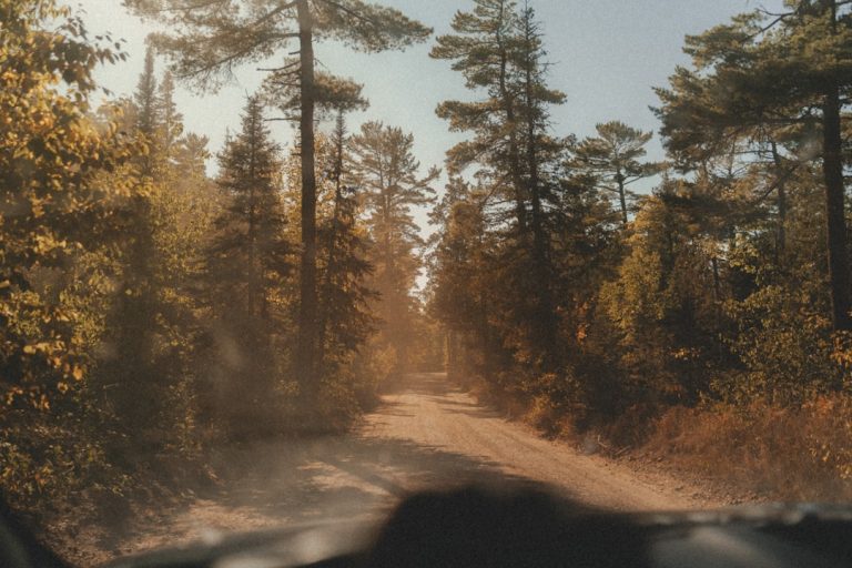 The Thrill of Embracing the Great Outdoors: A Journey of Self-Discovery